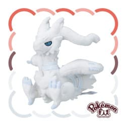 Pokemon Fit Reshiram